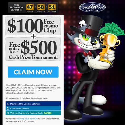 cool cat casino 100 free